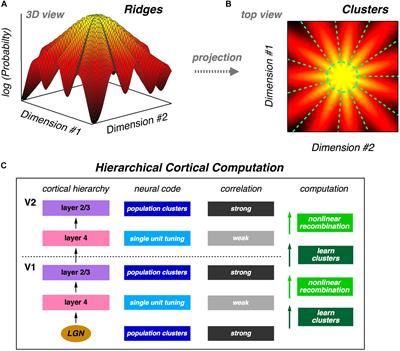 Clustering of Neural Activity: A Design Principle for Population Codes